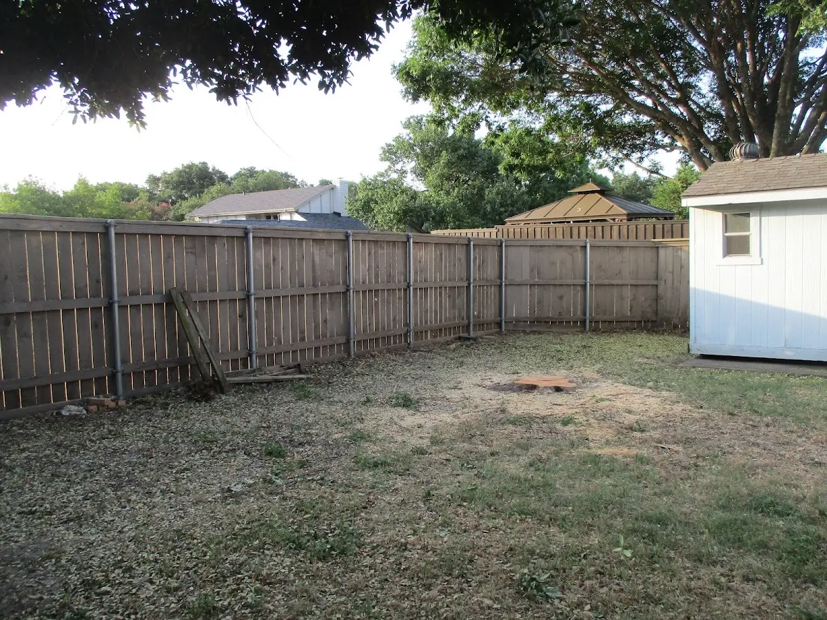 Cleared yard after professional tree removal in Windsor
